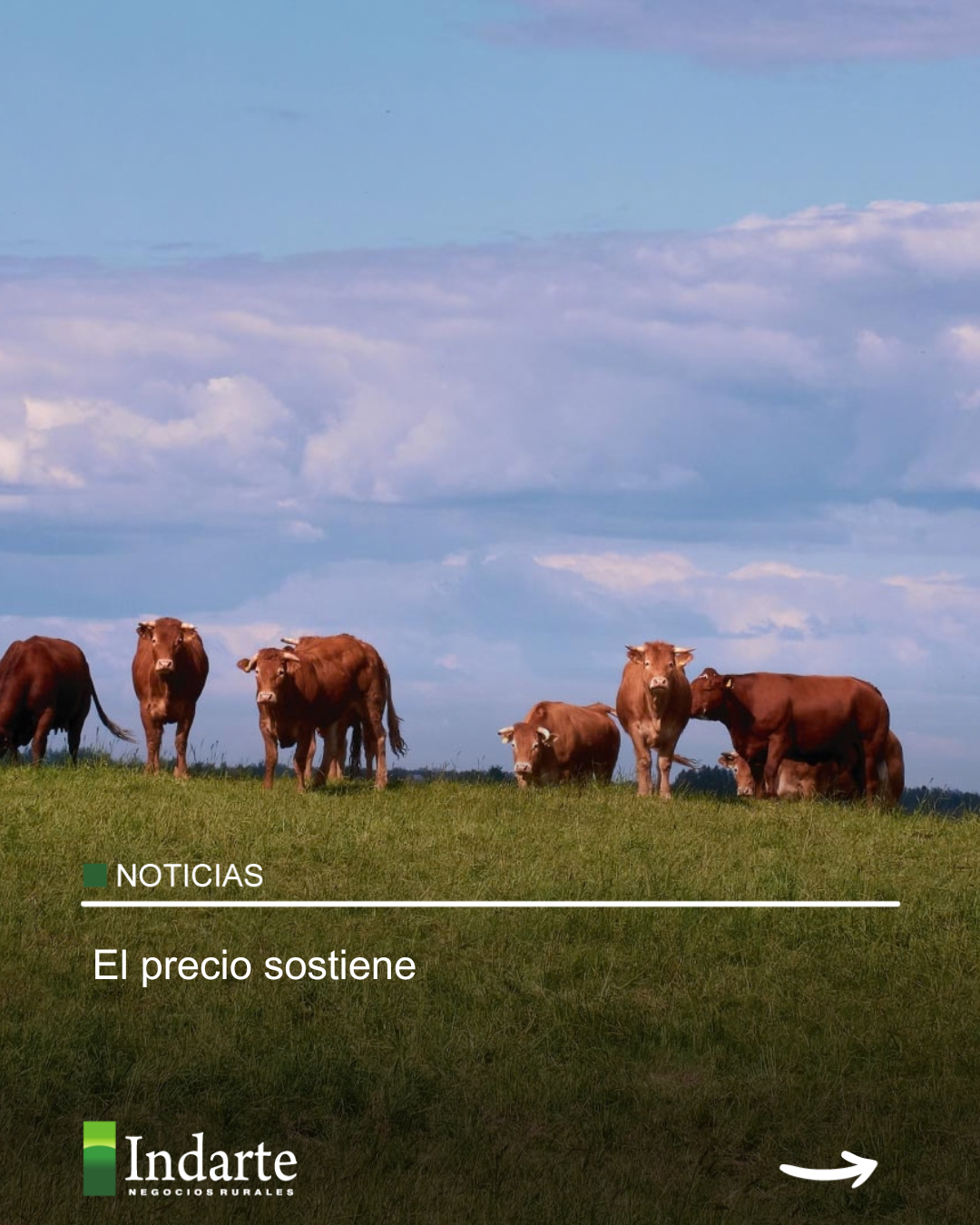 El precio sostiene 