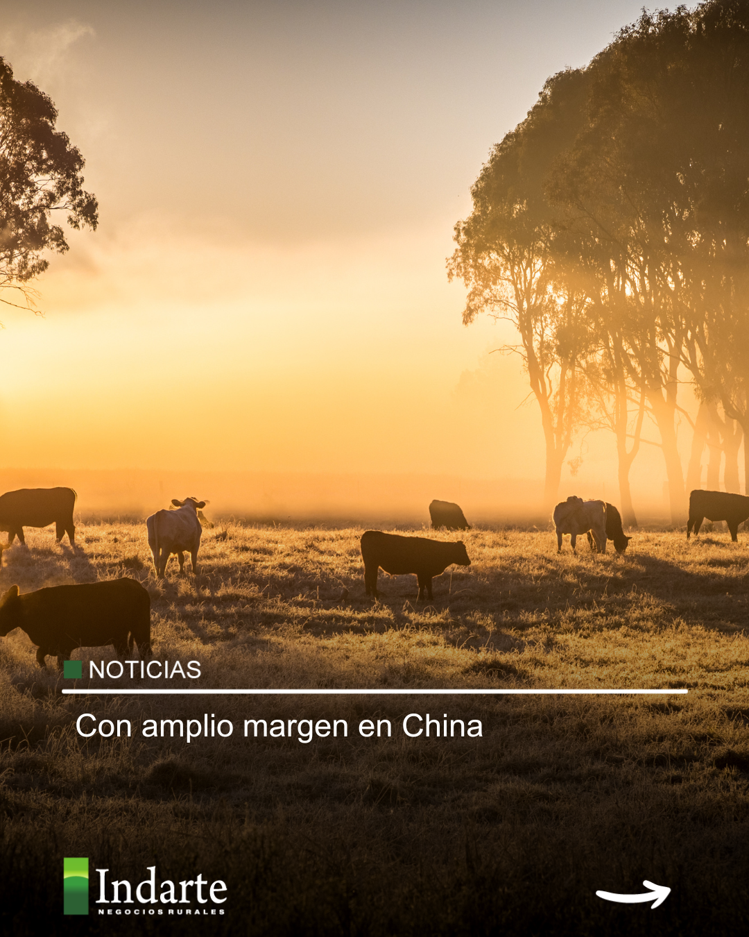 Con amplio margen en China 