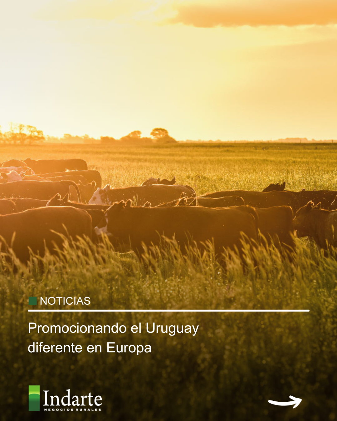 Promocionando el Uruguay diferente en Europa 