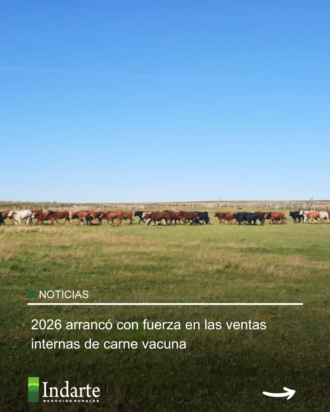 2026 arrancó con fuerza en las ventas internas de carne vacuna 
