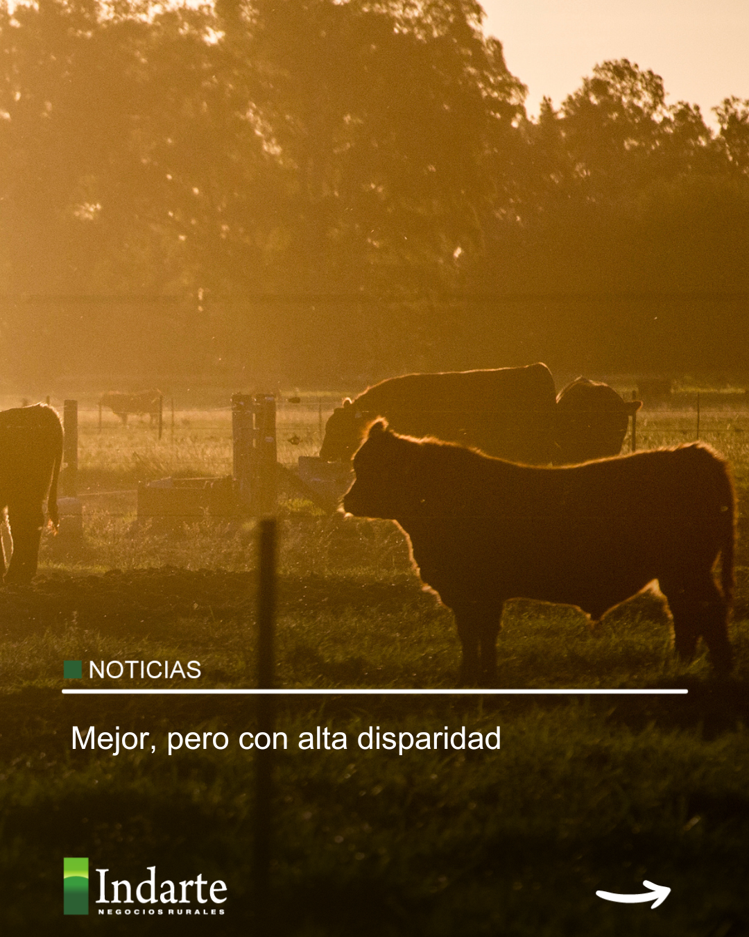 Mejor, pero con alta disparidad 