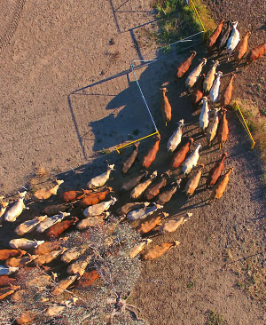 Remate 313 de Plazarural